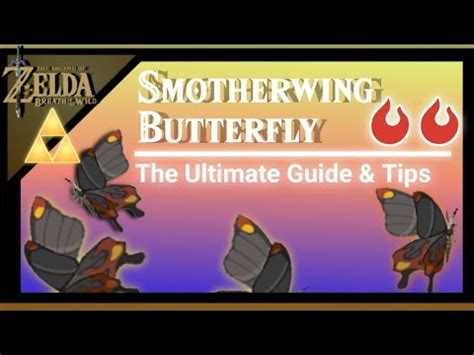 Where to Farm Smotherwing Butterflys: Locations and Prices